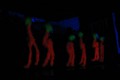 2008 Damenballett